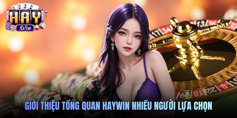 Giới thiệu tổng quan Haywin nhiều người lựa chọn
