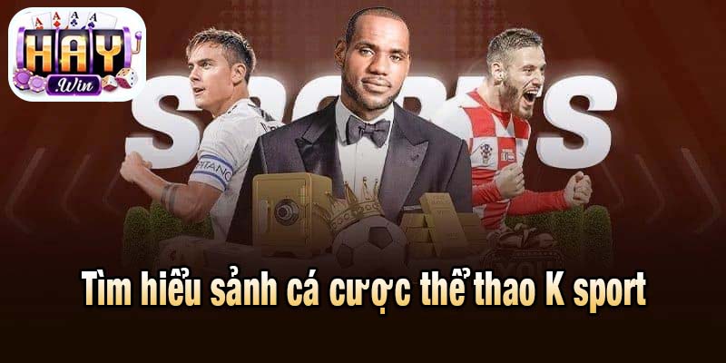 Tìm hiểu sảnh cá cược thể thao K sport