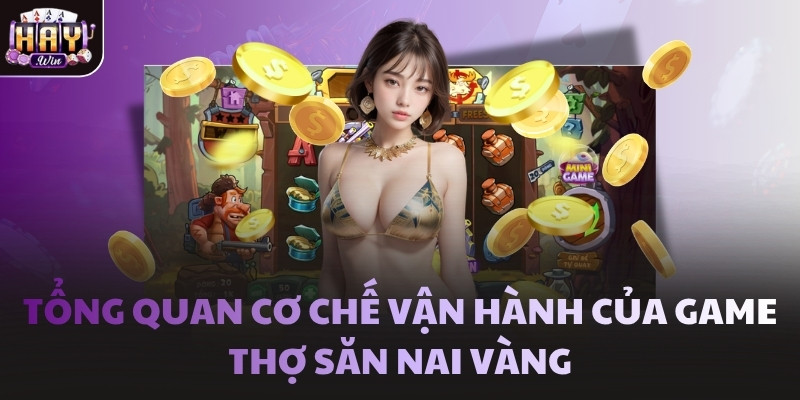Tổng quan cơ chế vận hành của game Thợ Săn Nai Vàng