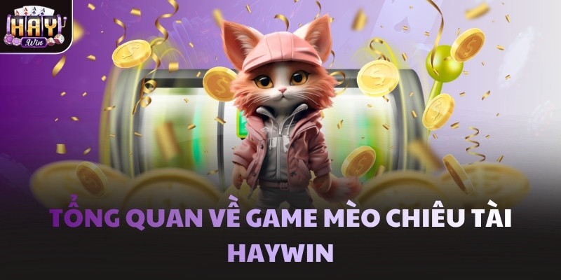 Tổng quan về game Mèo Chiêu Tài Haywin